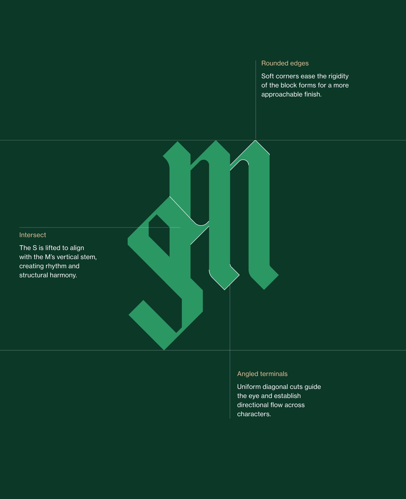 aurora-montessori-school-identity-website-02